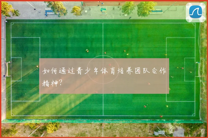 如何通过青少年体育培养团队合作精神？